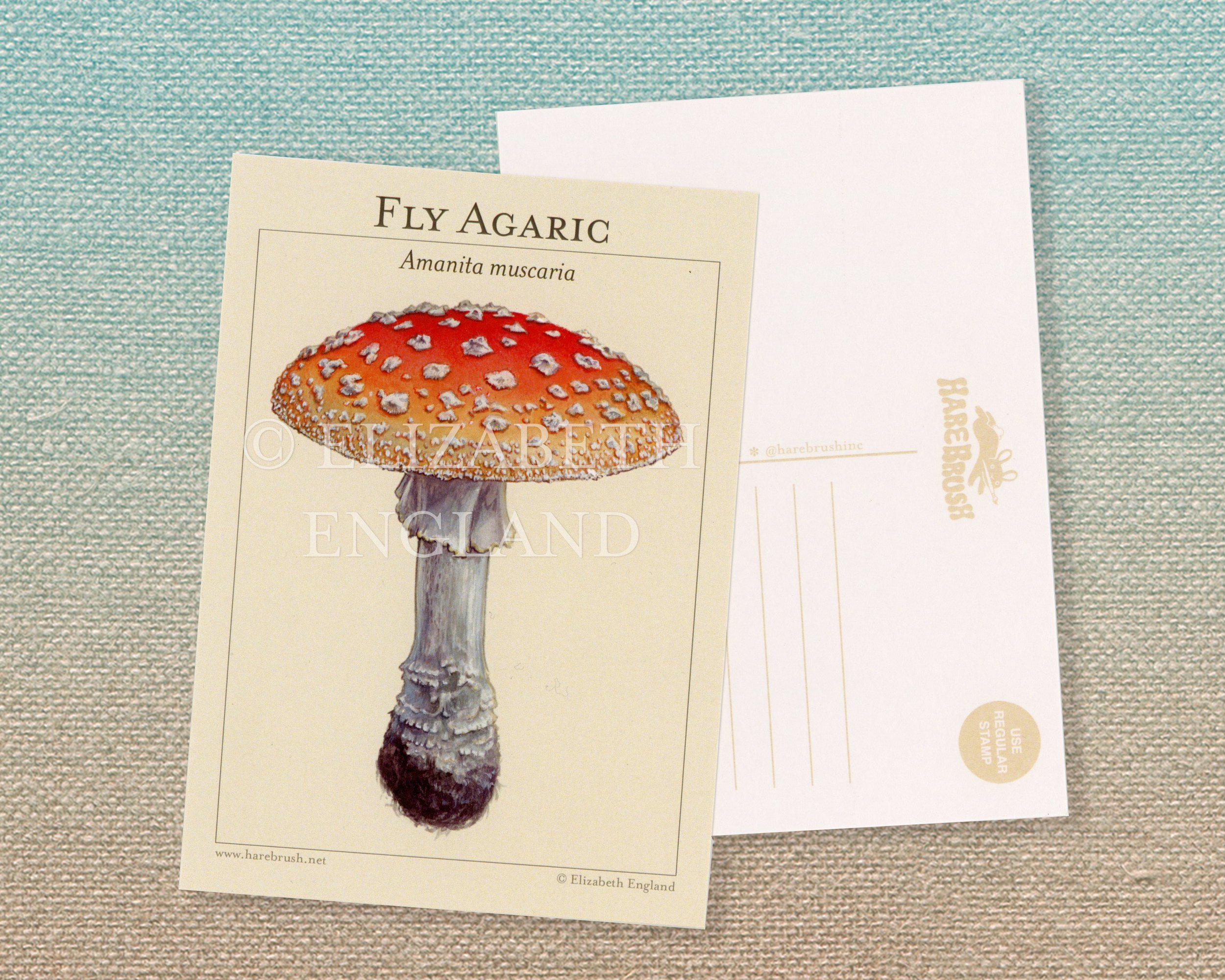 fly agaric postcard listing watermarked.jpg