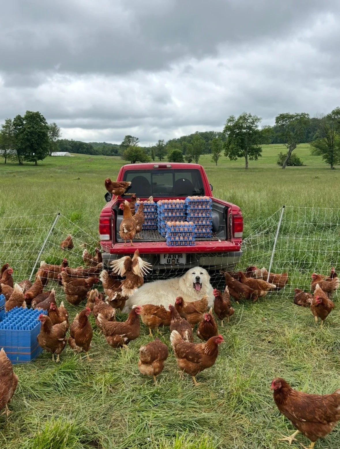 C0B0303D-9146-4821-ACDF-A5F7A189E5F0.jpeg