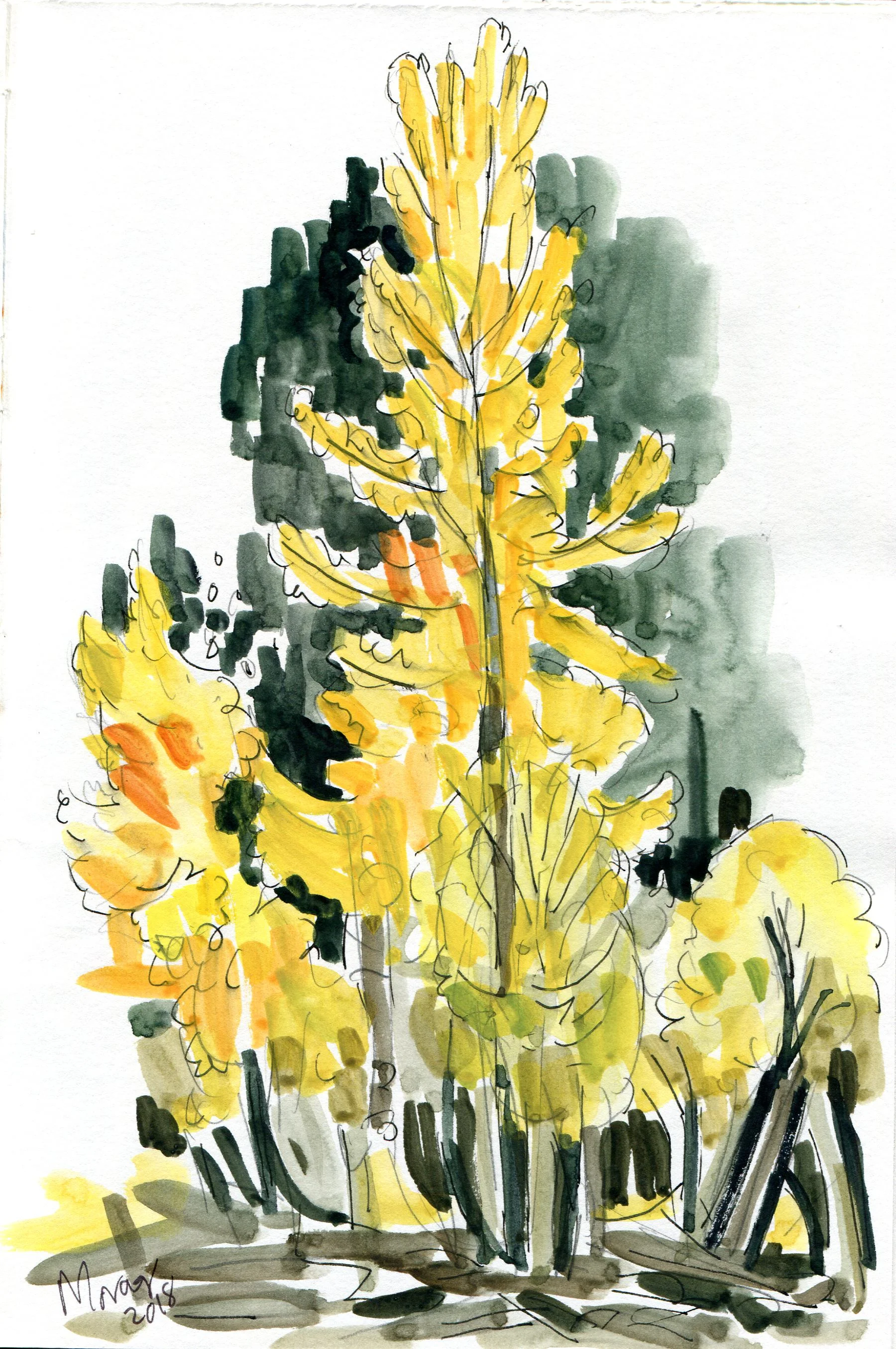 Methow Valley Fall