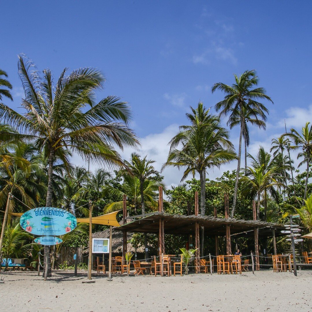 Nuestro Bar y Restaurante est&aacute; abierto al p&uacute;blico de la Playa, dale clic a nuestro enlace en la bio para ver el MENU completo 🥑