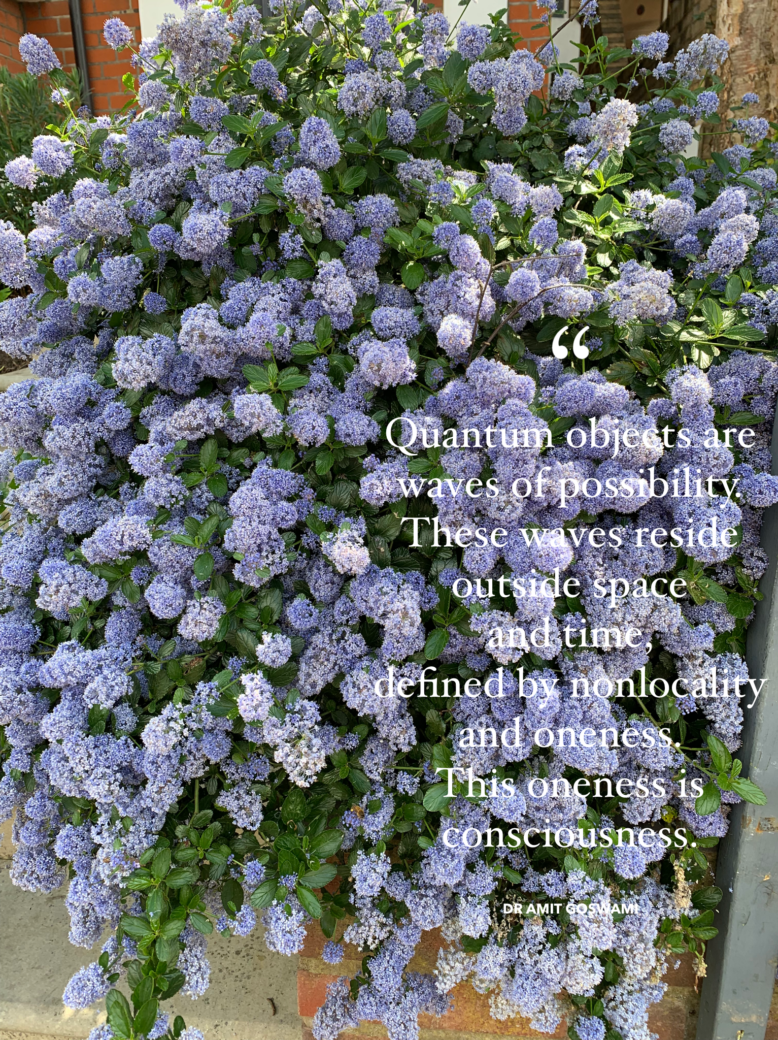 IMG_3287.png