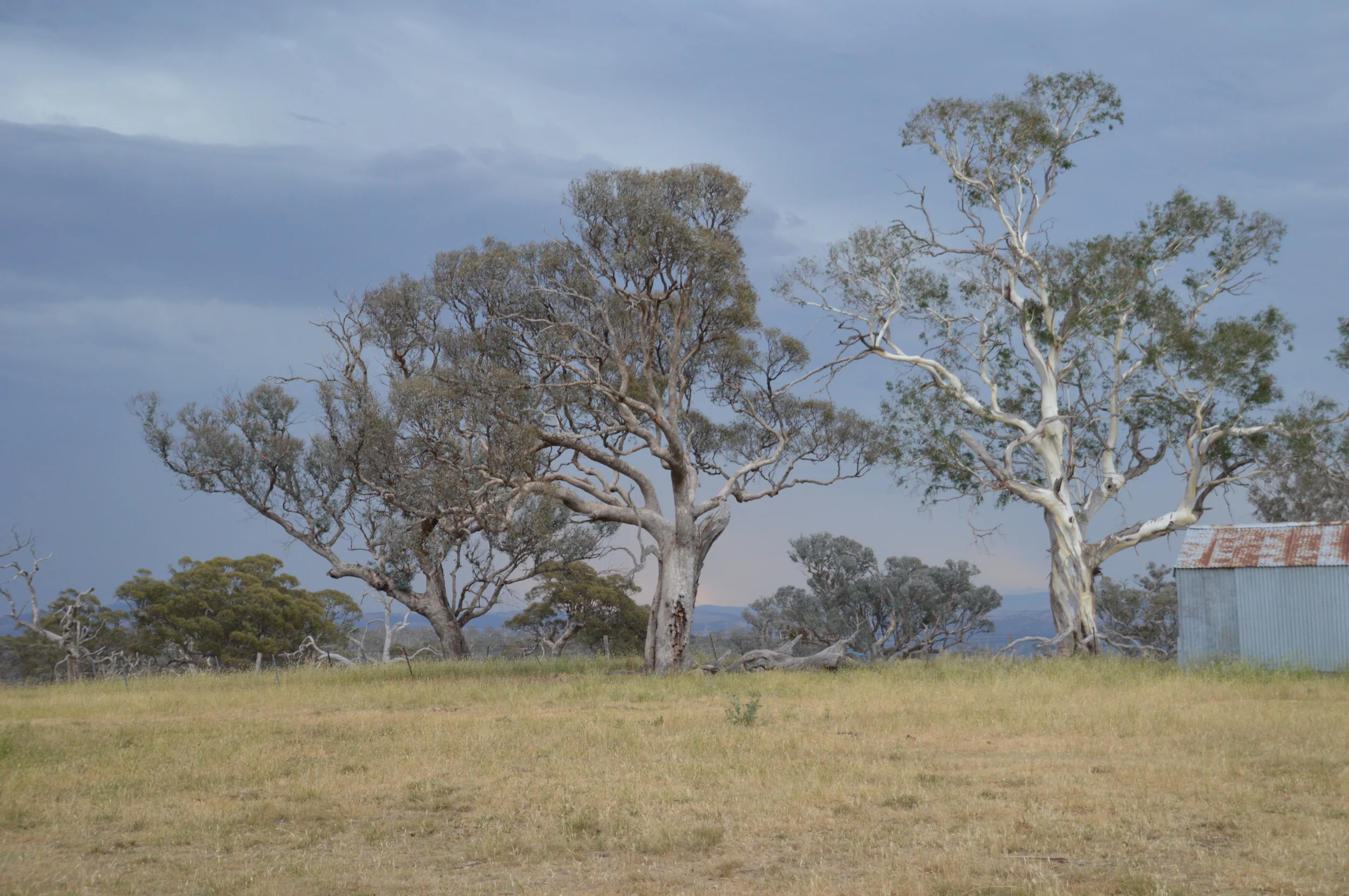 January 2014 (24).JPG