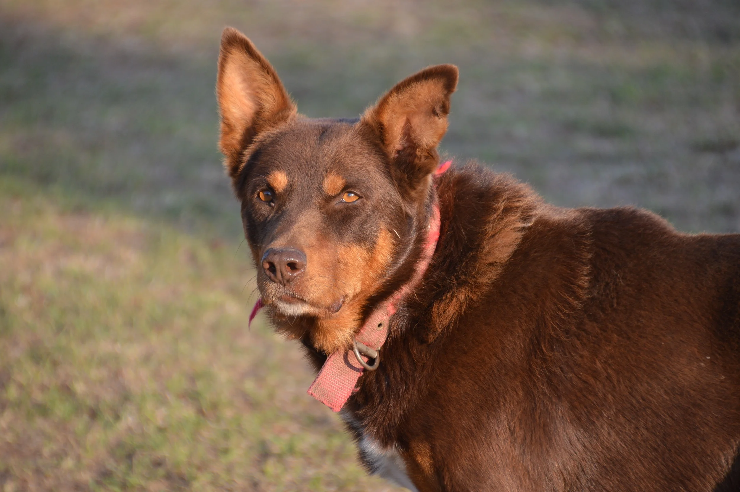   Woburn    Contact Us  