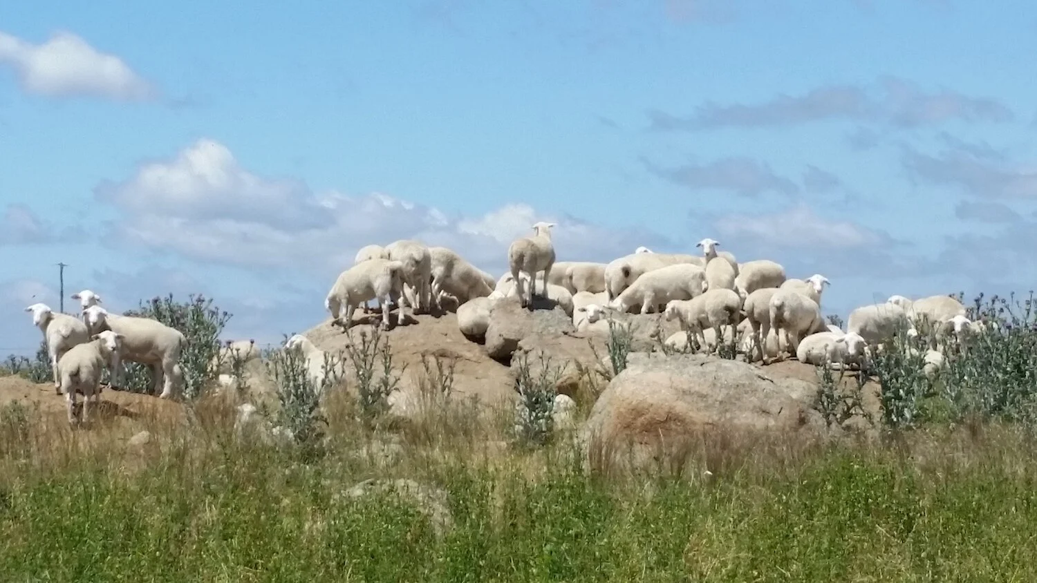 20201224_115723.jpg