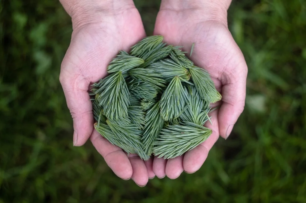 Weddings with a social conscience