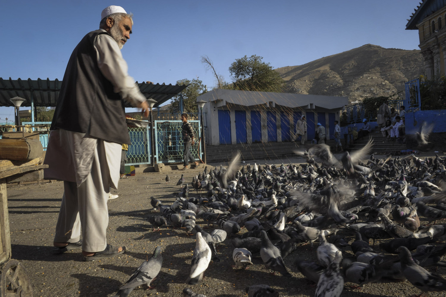  A man feeds the birds outside of a mosque near the Kabul River in the old city of Kabul, Afghanistan. 