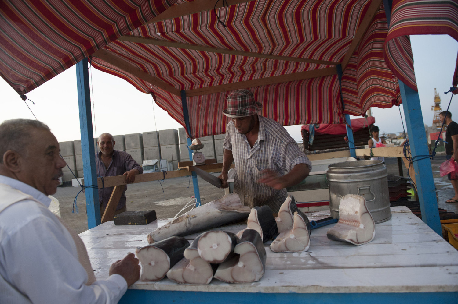  Al Araby, an Egyptian man cuts and sells shark pieces to a customer at a roadside fish market in Tripoli, Libya. Many Egyptians come to Libya to find work in the strong oil economy. 

 