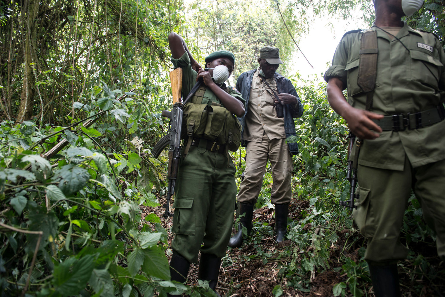  After seeing the gorilla's, Aline and the crew prepare to leave the jungle. 
 