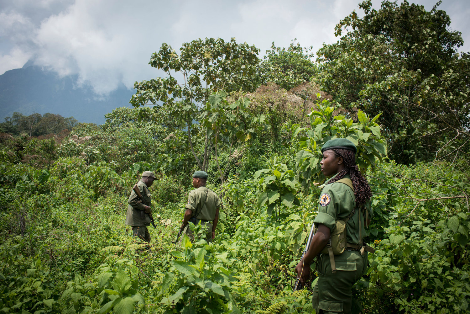  Aline, along with other rangers and park staff visit the gorilla's in the parks Mikeno sector. Mt. Mikeno can be seen in the distance.
 