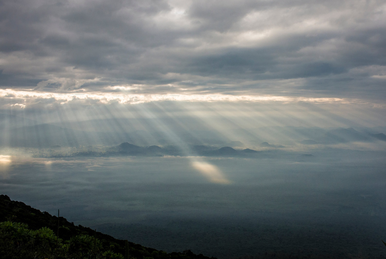 Virunga_015.JPG