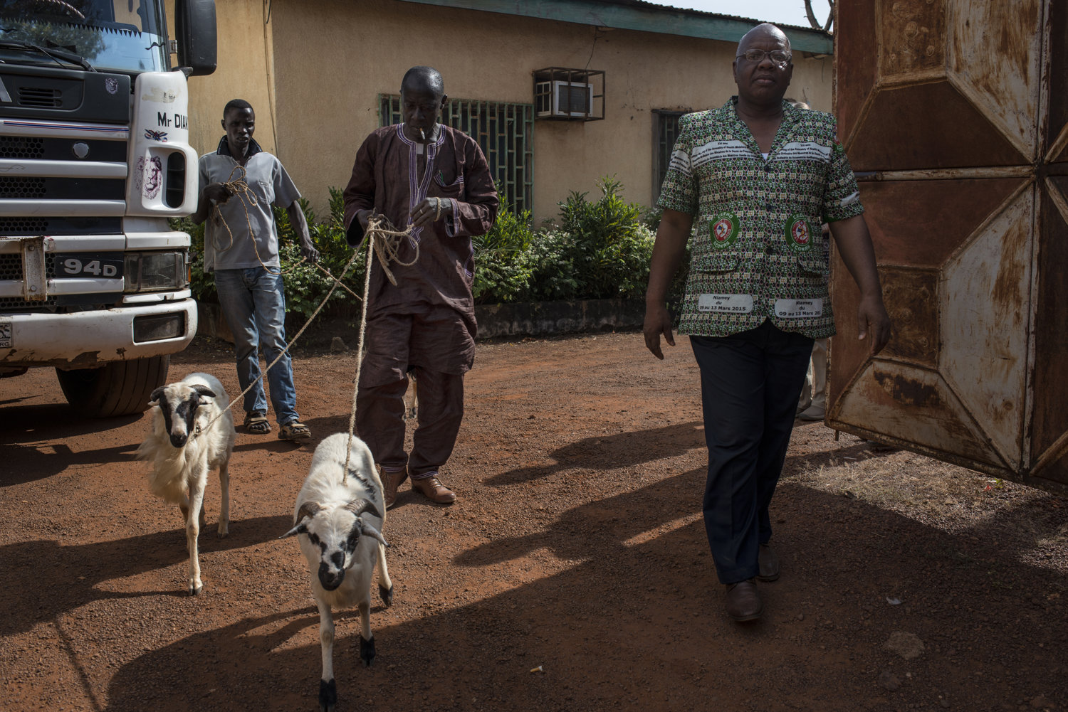  Dr Robert Camera, The Directior National de la Prevention et Sant� Communaitaire walks outside his office in Faranah, Guinea alongside two goats that were given to the JHIPAGO trainers as a gift of thanks. 
