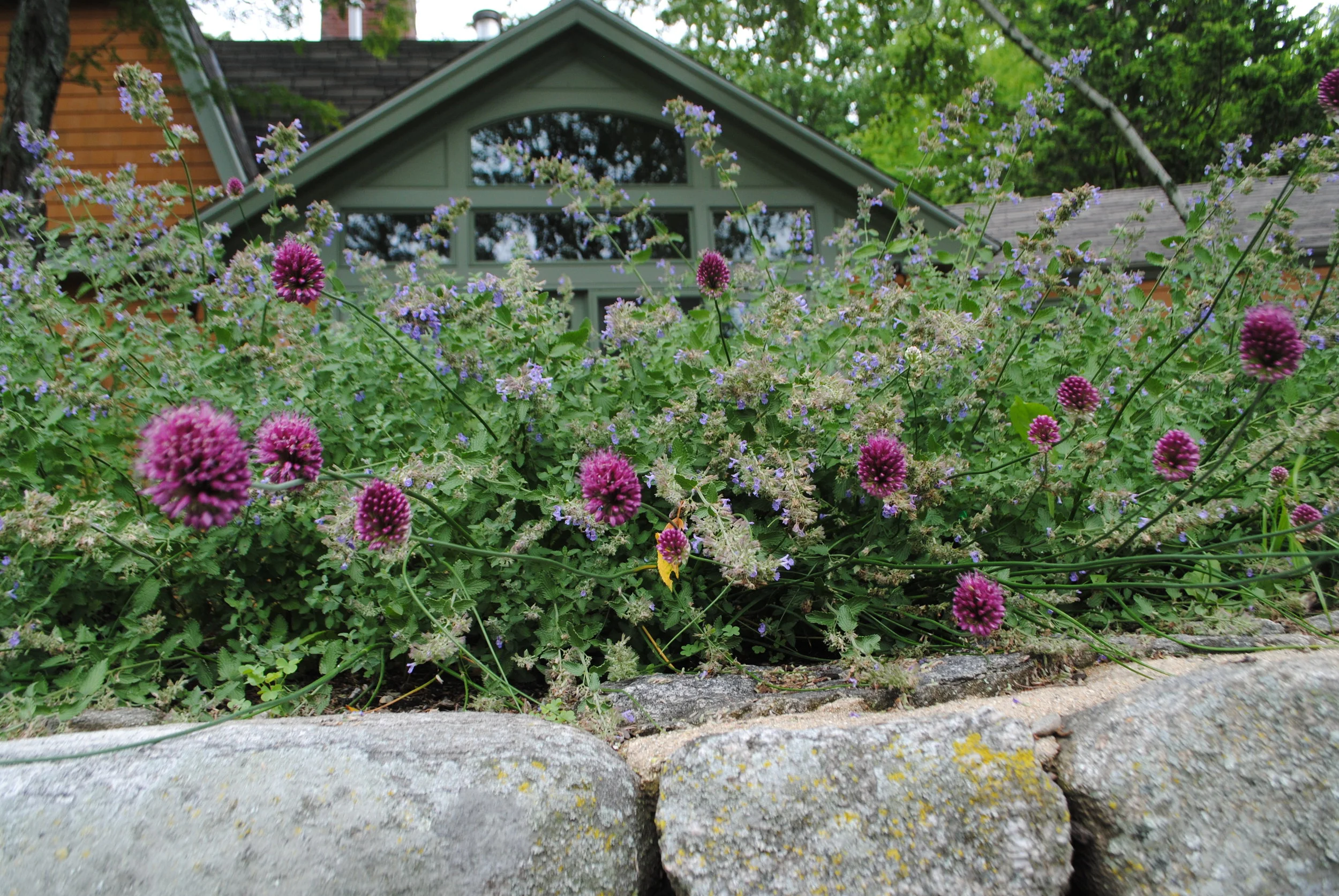 DSC_3221.JPG