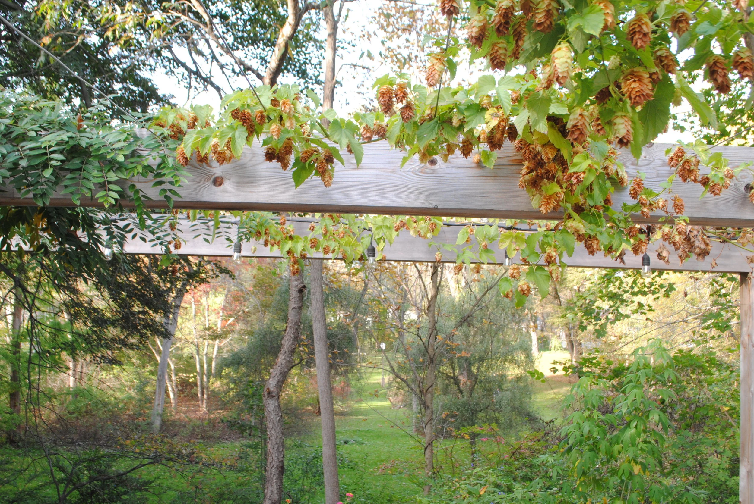 DSC_3224.JPG