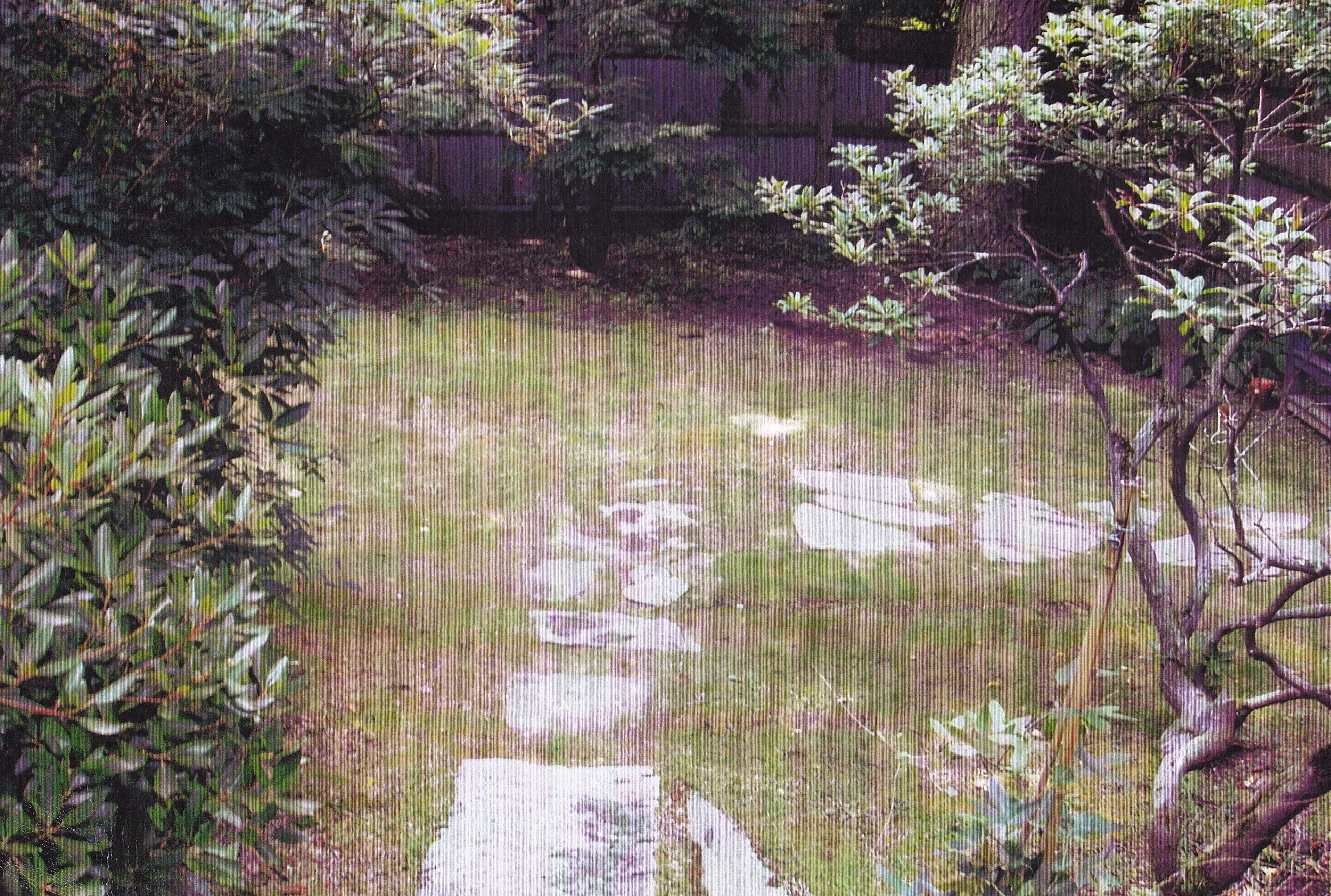 Side yard, Concord, MA