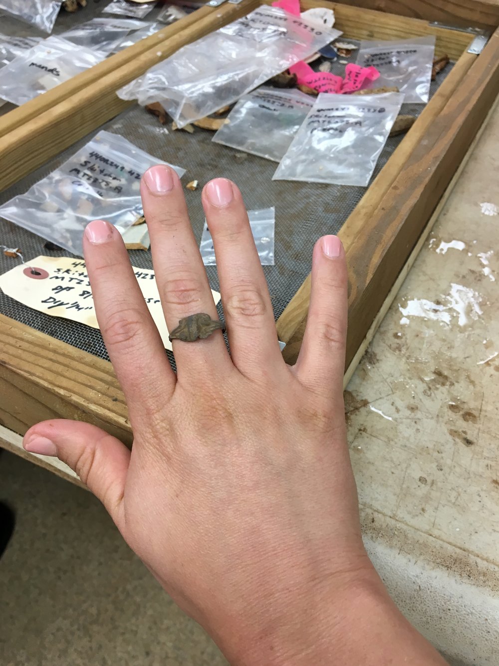  A ring found out in the field 