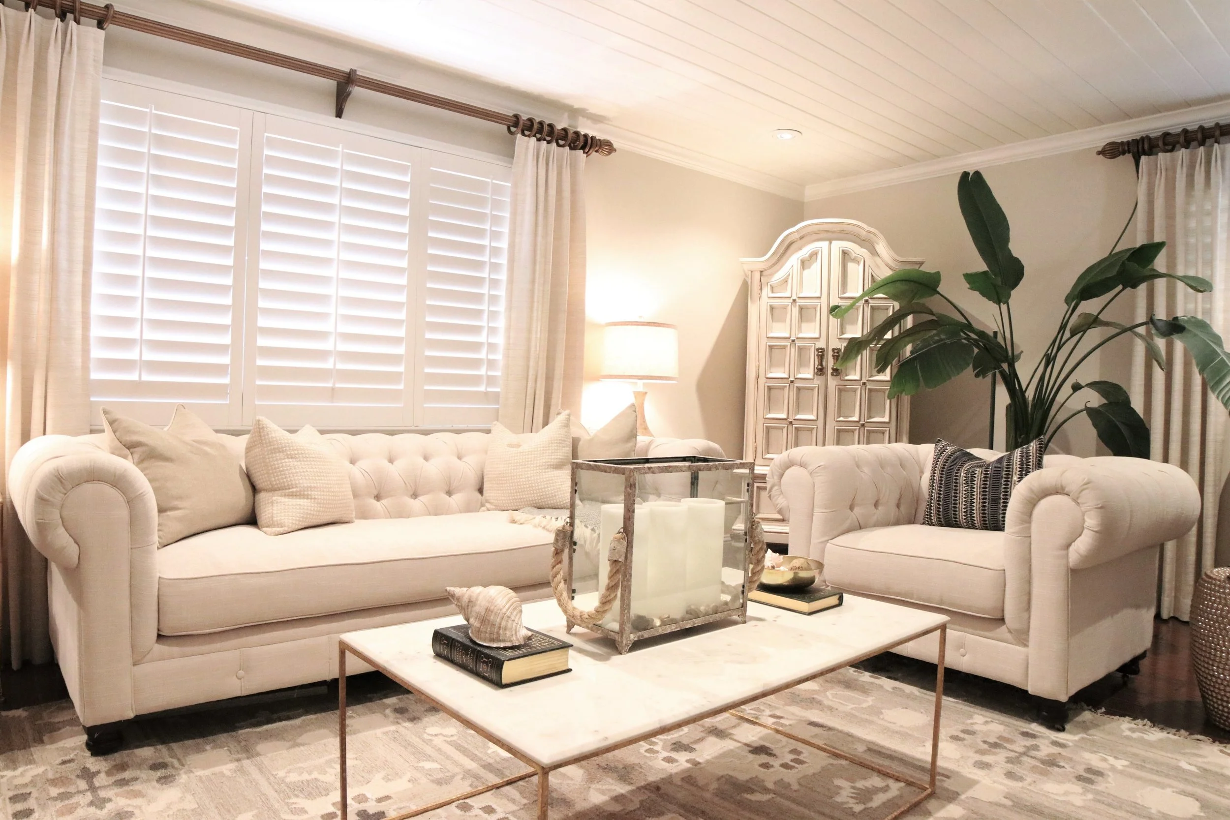 whippet - 2 white sofa .jpg