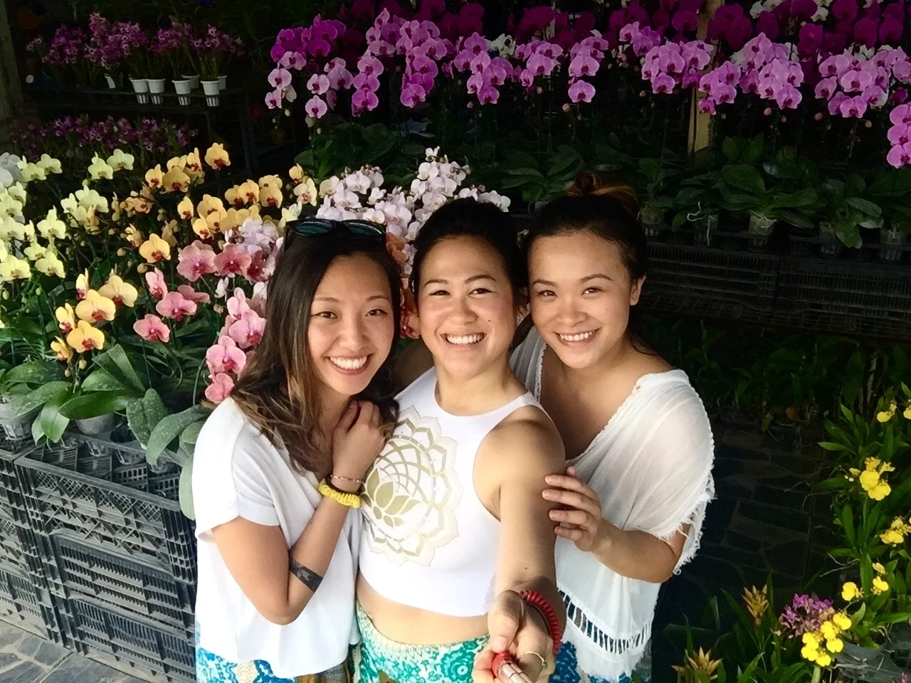 Exploring tropical florals at the Chiang Mai Flower Garden.