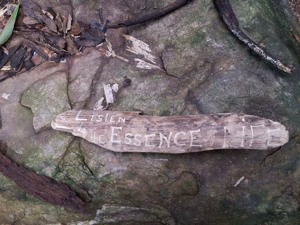 Carved by Jasmin Power