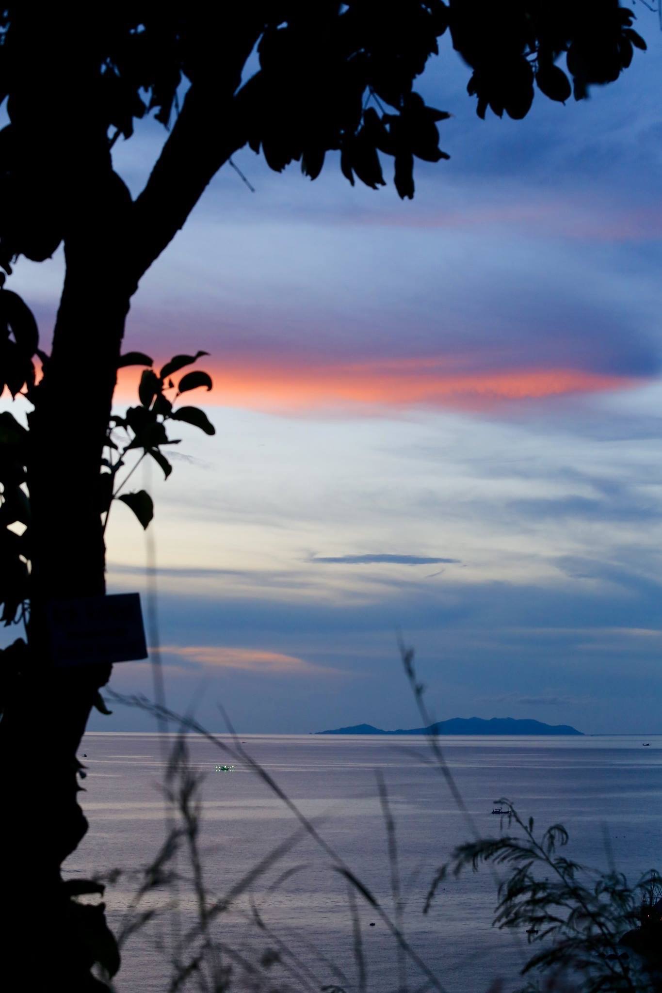 Wondrous Photography: Vanessa Deering