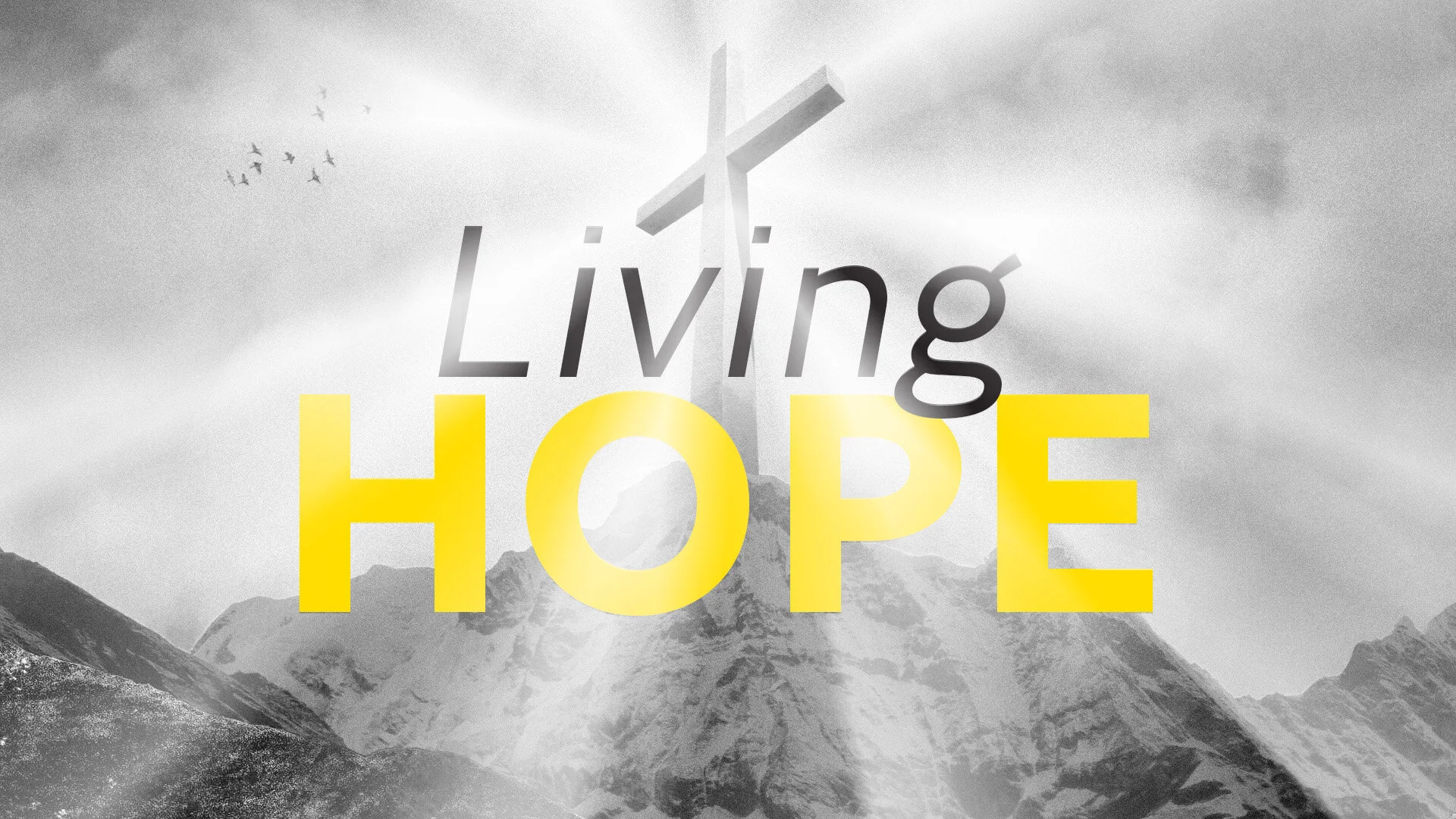 LivingHope_SermonGraphicCropped_2019.jpg