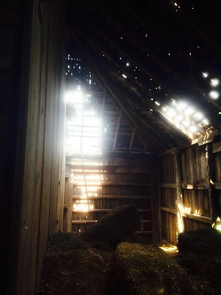 Inside the Anderson Barn.jpg