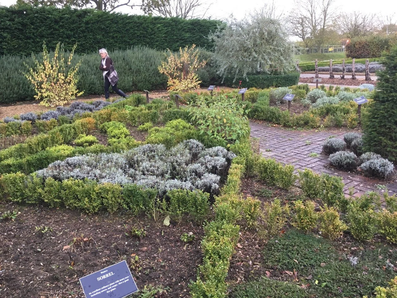 community garden.jpg