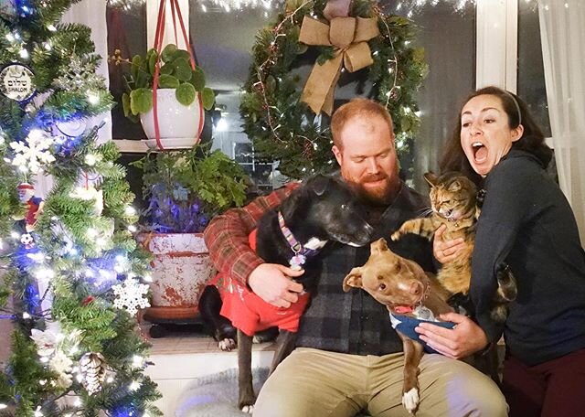 From our family to yours- celebrate what you want, how you want, with who you love ❤️ ⁣⁣
⁣⁣
Thank you all for a remarkably above average year. Best, Mo, Brian, Beanie, Biscuit and Nugget⁣
⁣
#christmascard #mycatfromhell