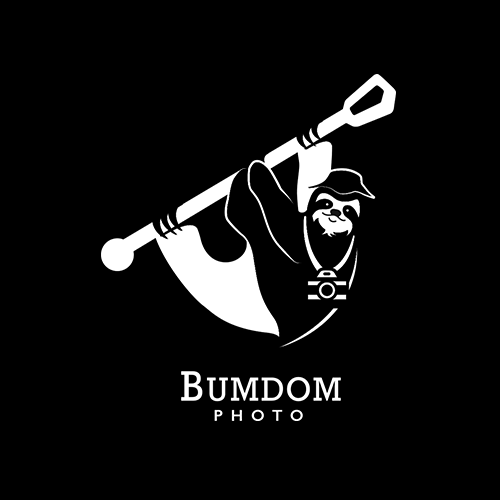 logo-bumdom.png