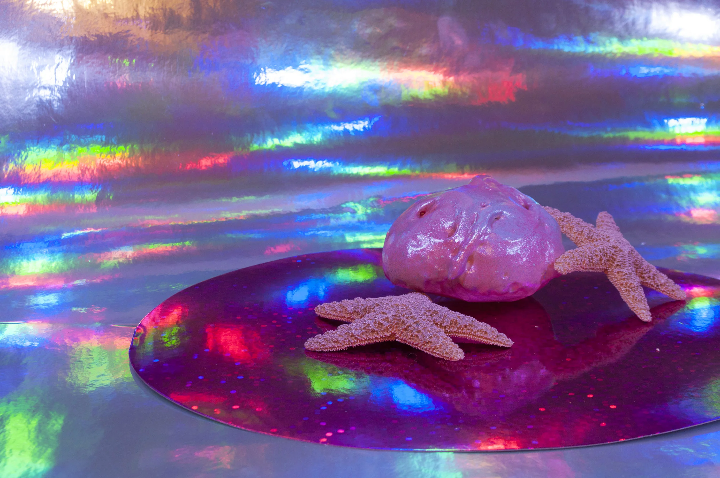 starfish3.jpg