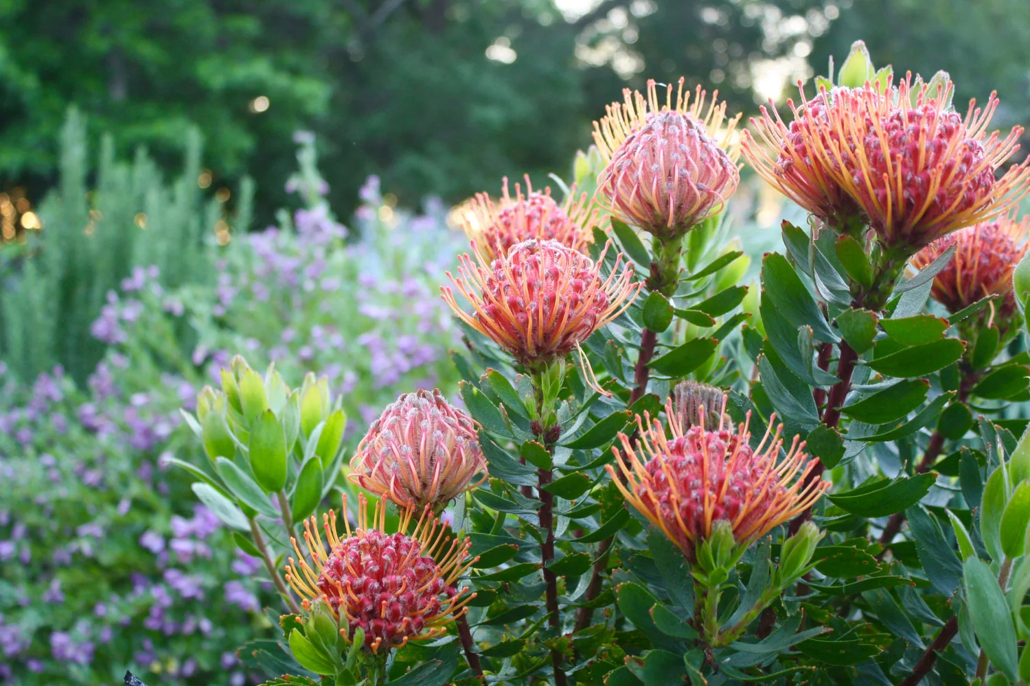 Blog — Bloom