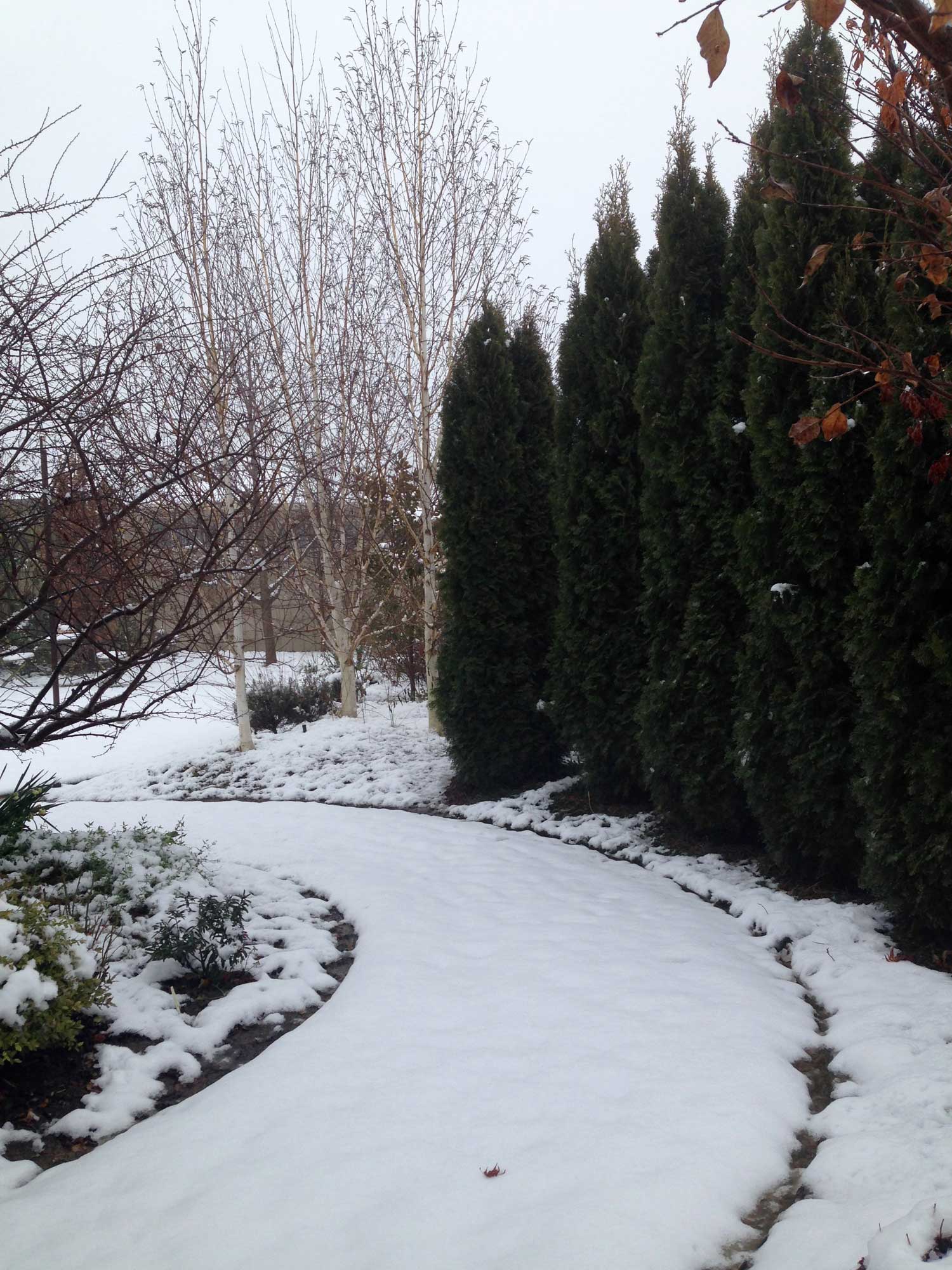 Rare snow in Australia