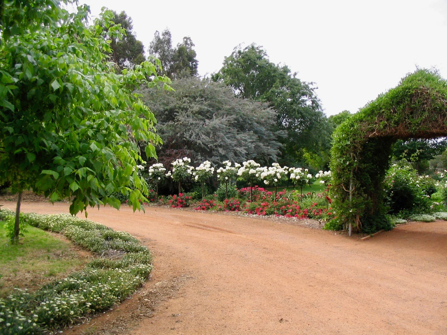 Farm garden tour - Part I