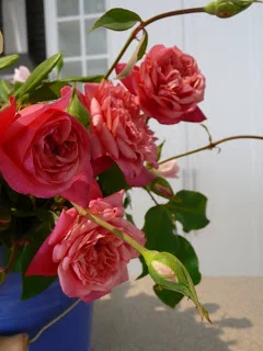 Stitching 'withdrawal'