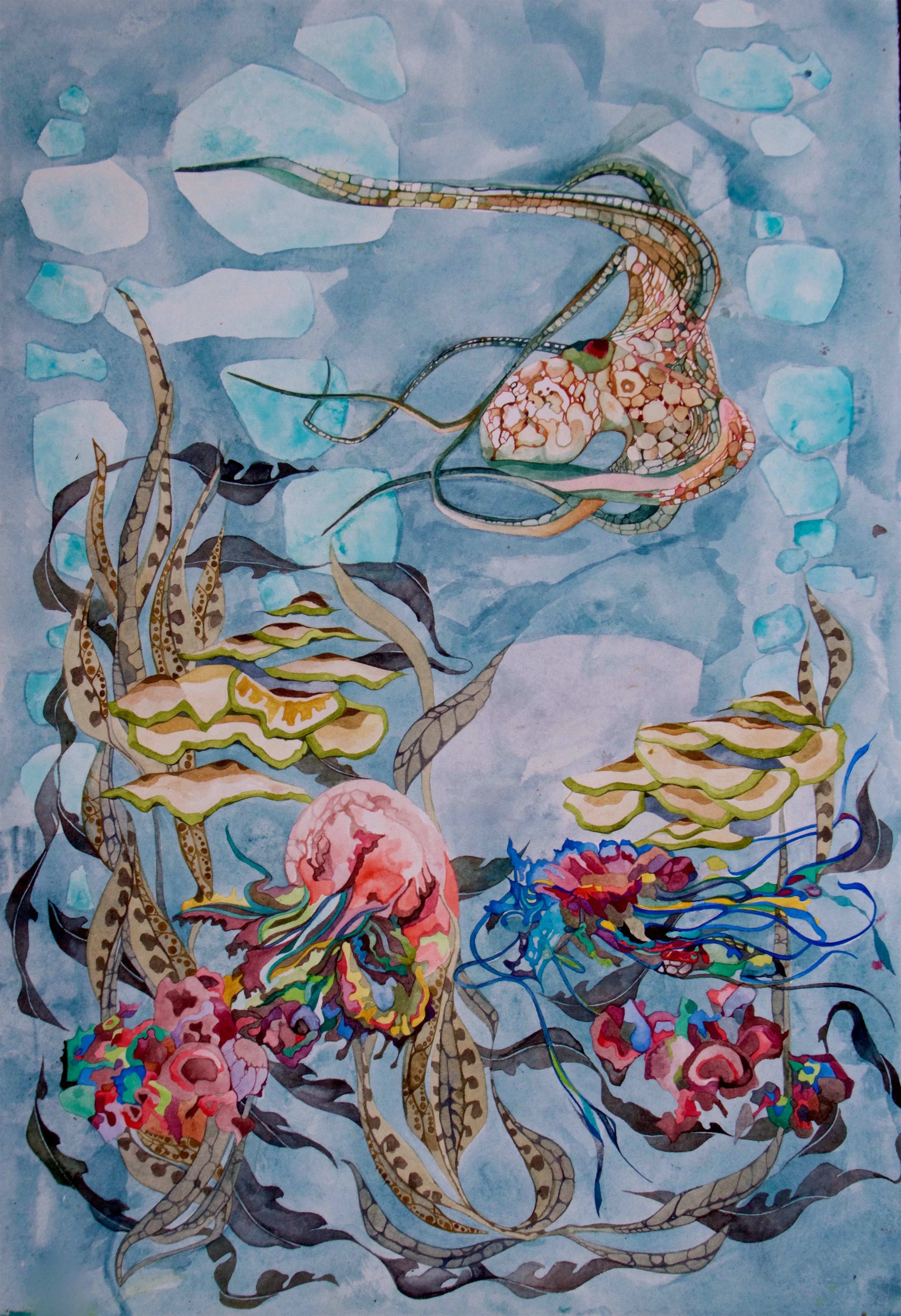 Crinoids, watercolor on paper, 15 x 22 inches, 2016