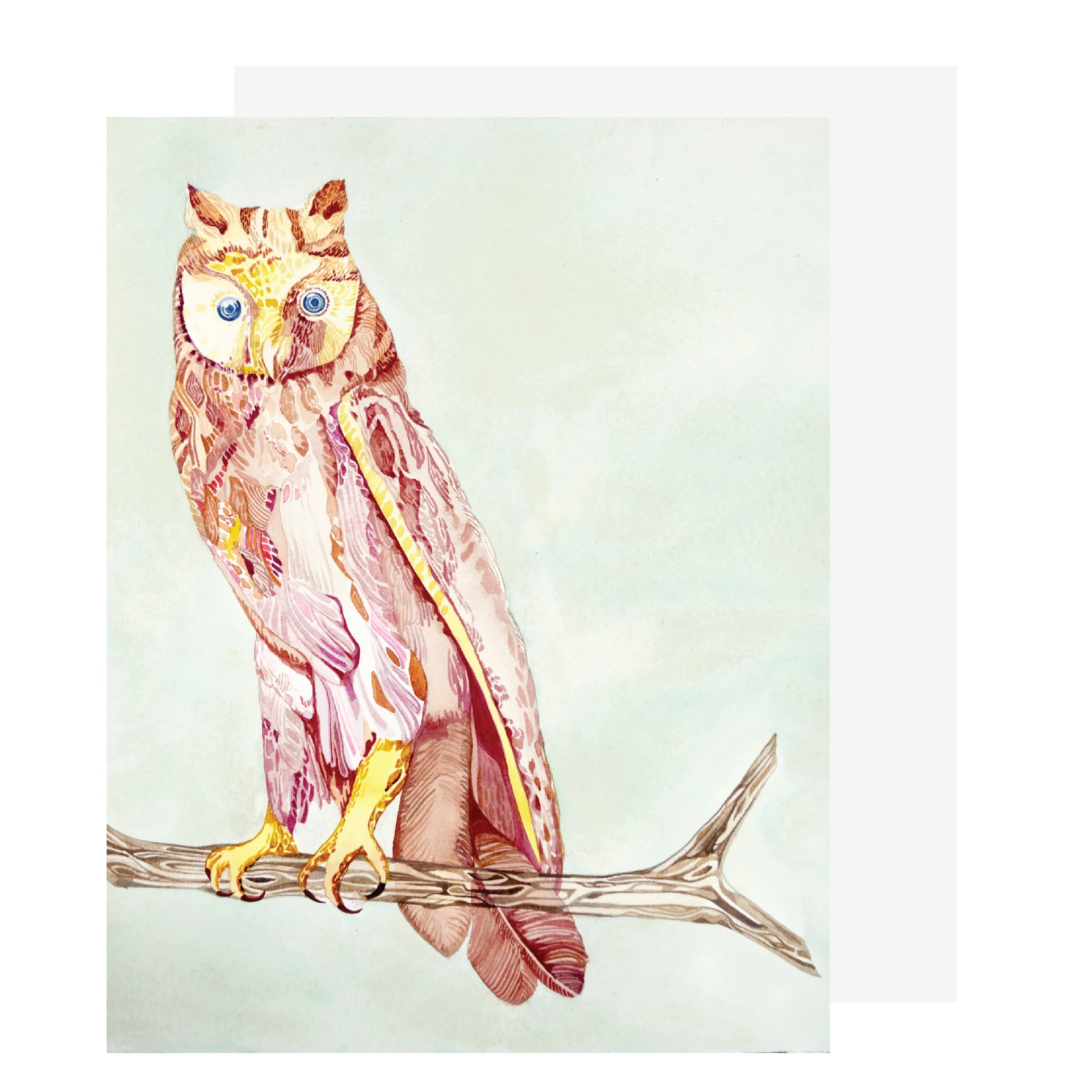 owl2webcard.jpg