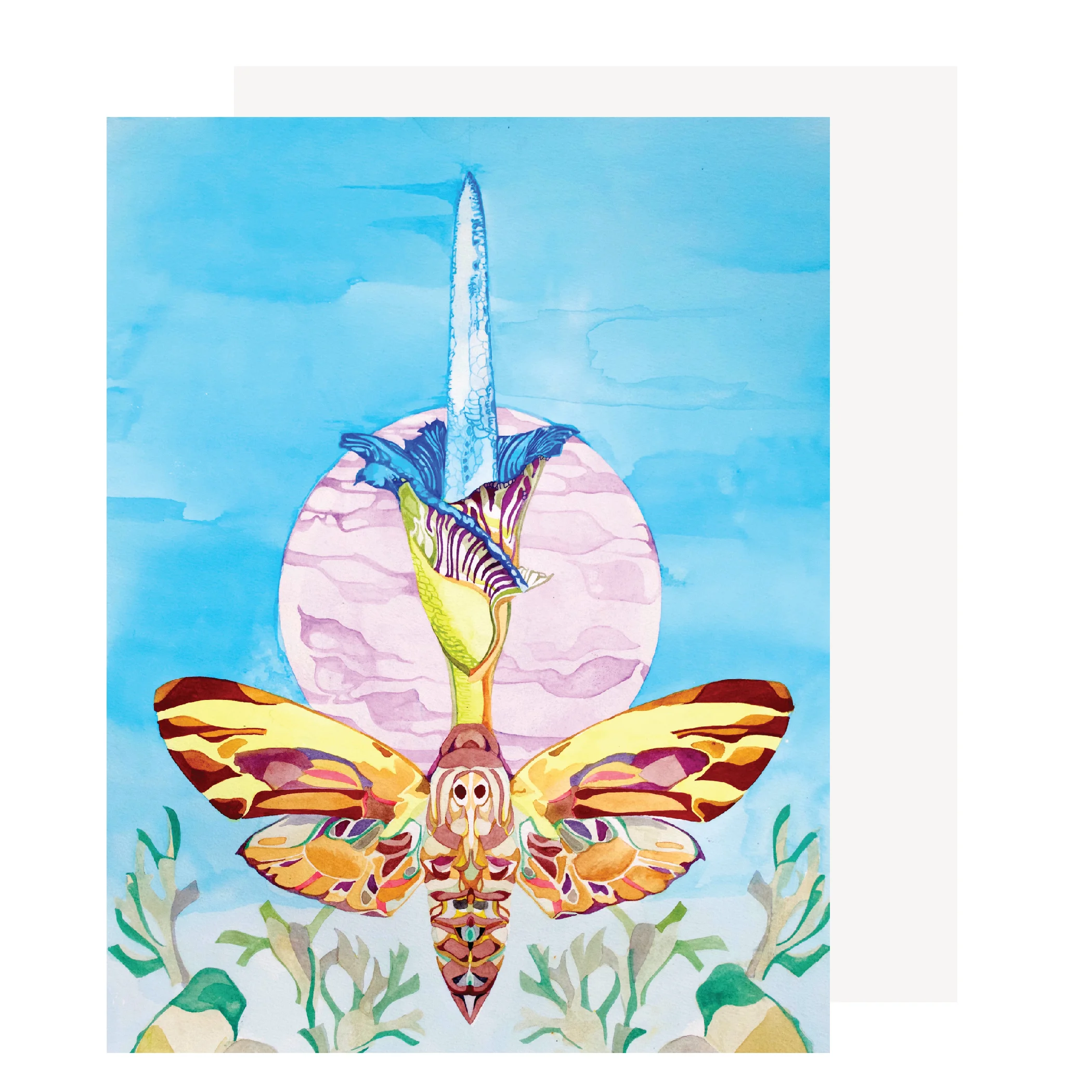 mothwebcard.jpg