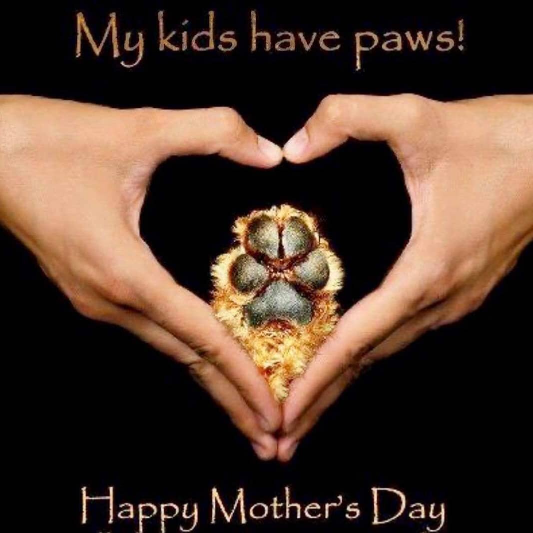 Happy Mother's Day to all the pet moms out there! We are OPEN today 10am-5pm ❤️🐾