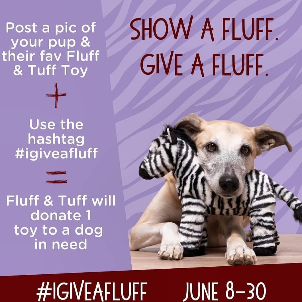 We ❤ @fluffandtuffdogtoys 
Help them donate to dogs in need!! We have lots of toys to choose from!