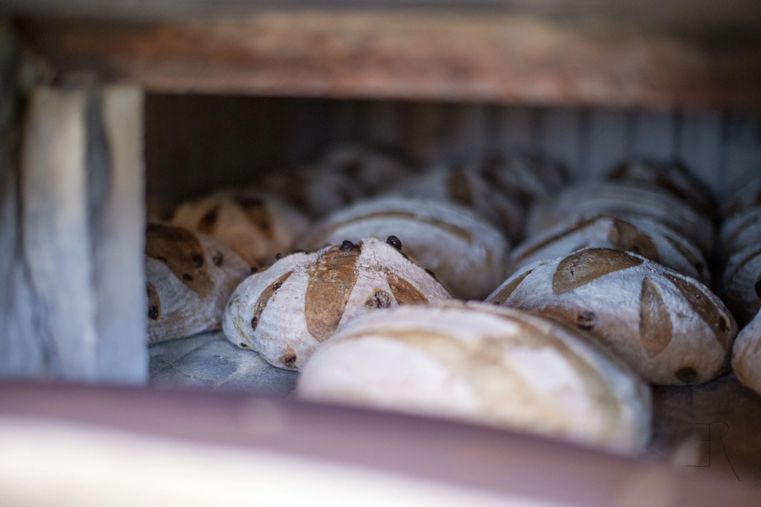 Boules in the Oven Looking Tasty.jpg