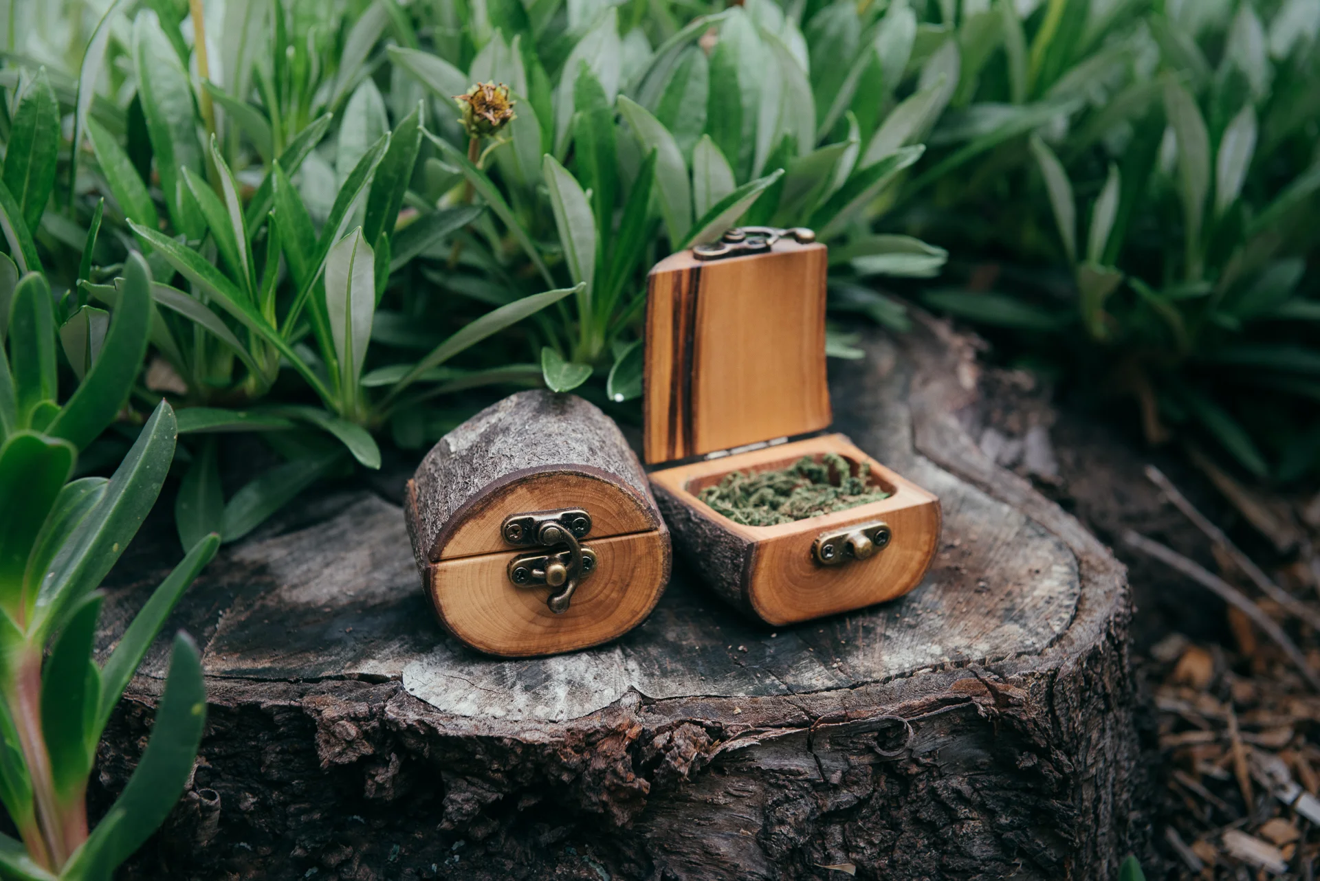 log ring box jaccob mckay olinda