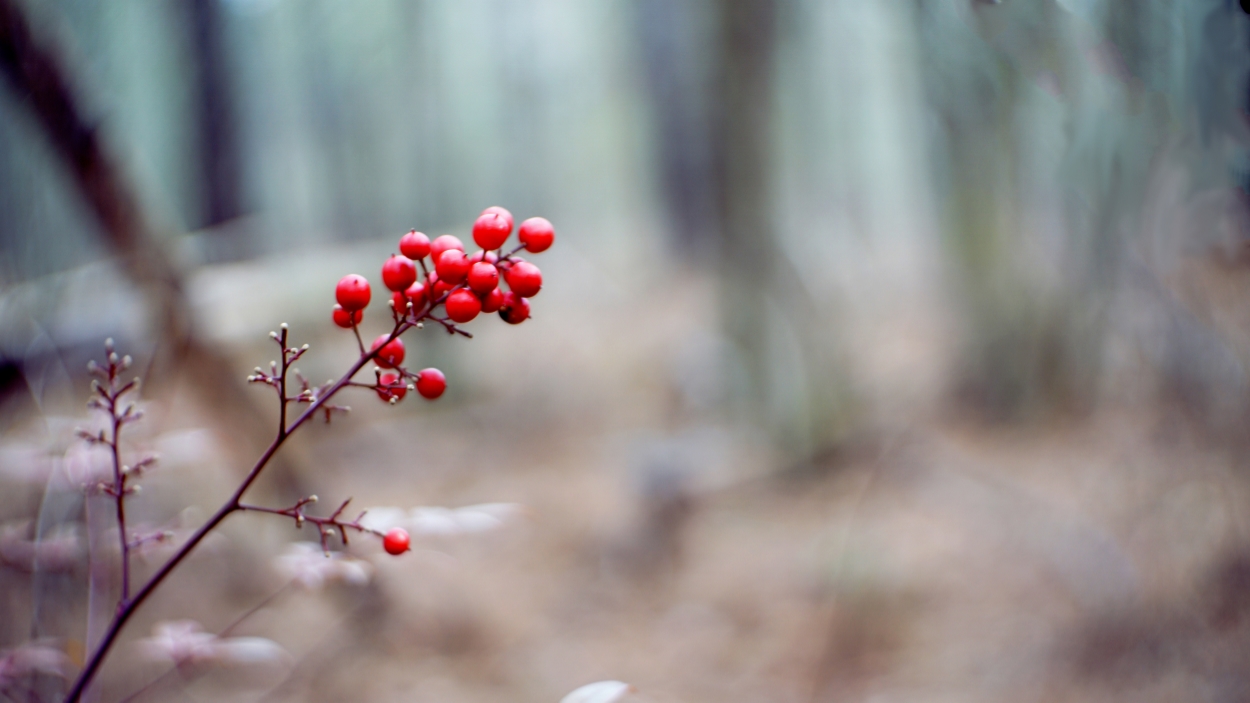 Outdoor Spotlight: Louise Kreher Ecology Preserve