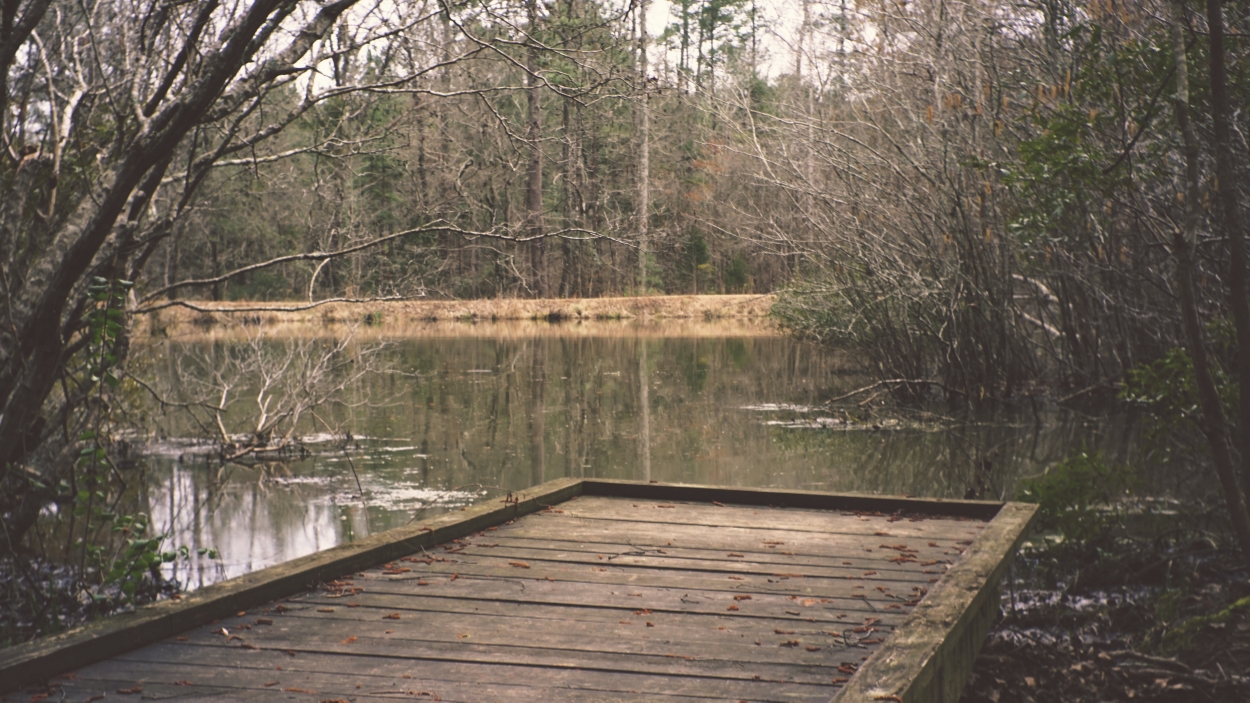 Outdoor Spotlight: Louise Kreher Ecology Preserve