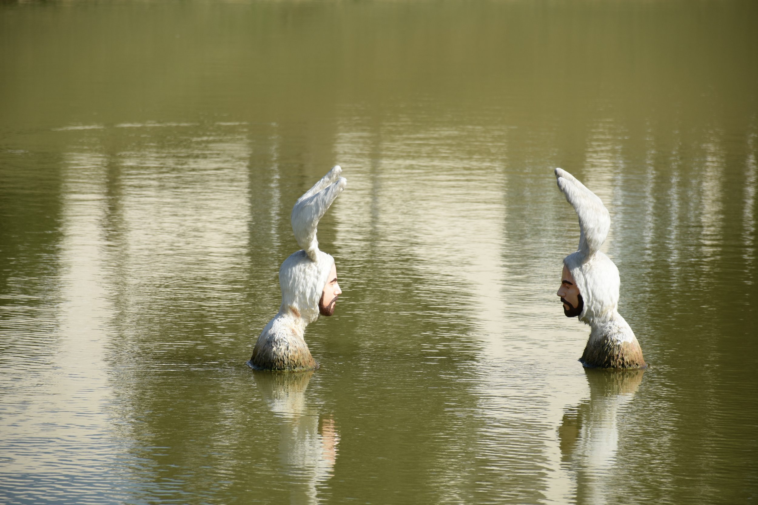Photo by Cat S.