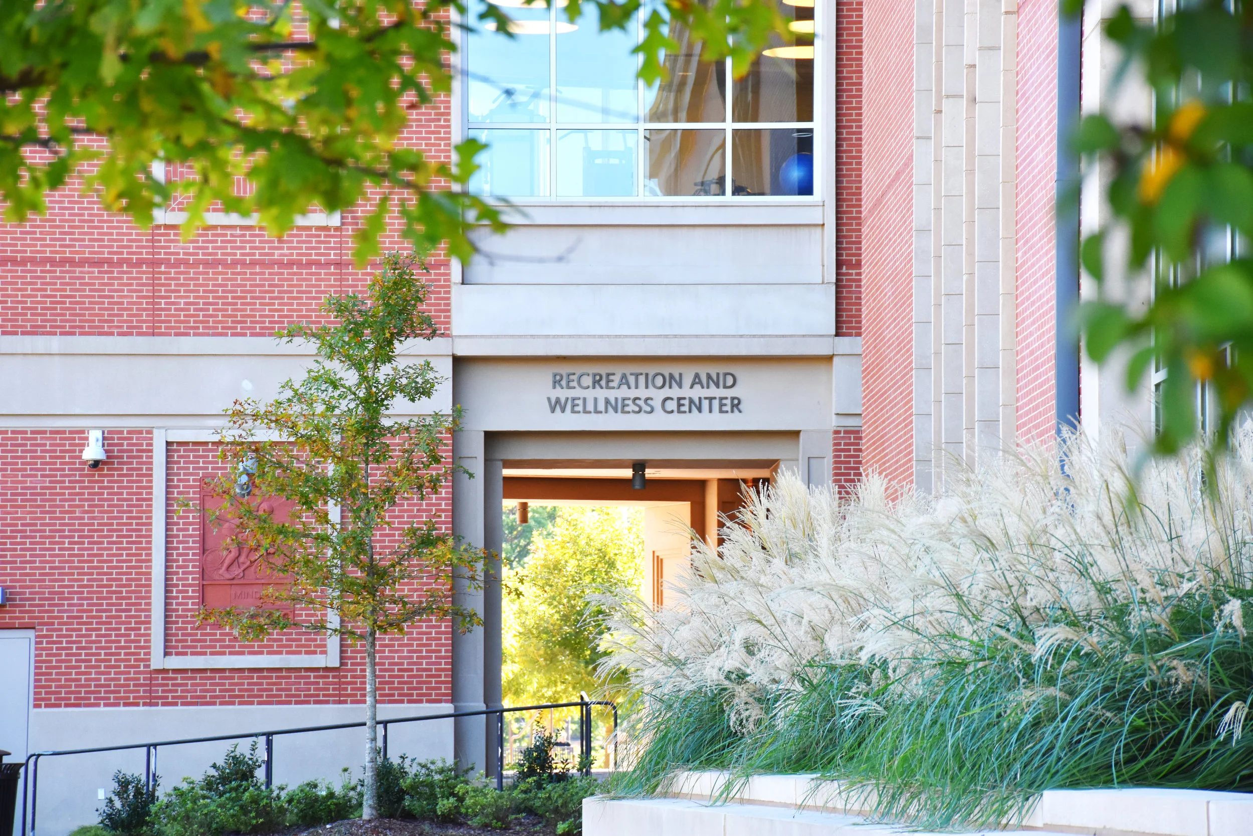 Nine Things You Have to Try at The Rec