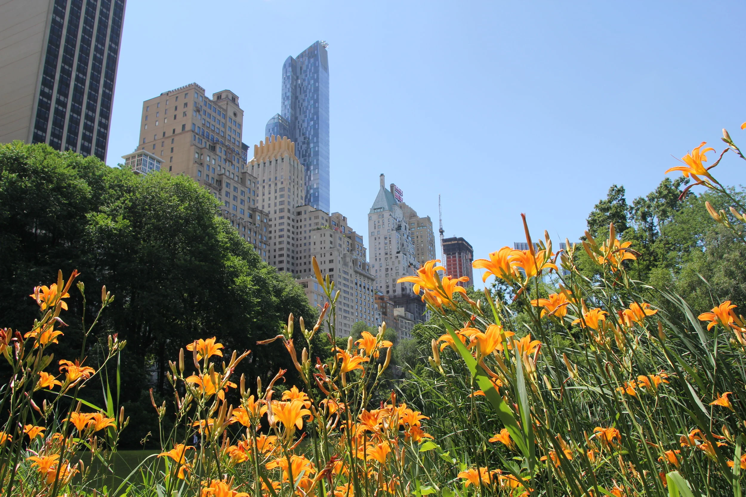 An Auburn Student's Ultimate Guide to NYC