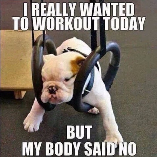 10 Memes To Keep You Laughing Throughout Your Workout — Be Well