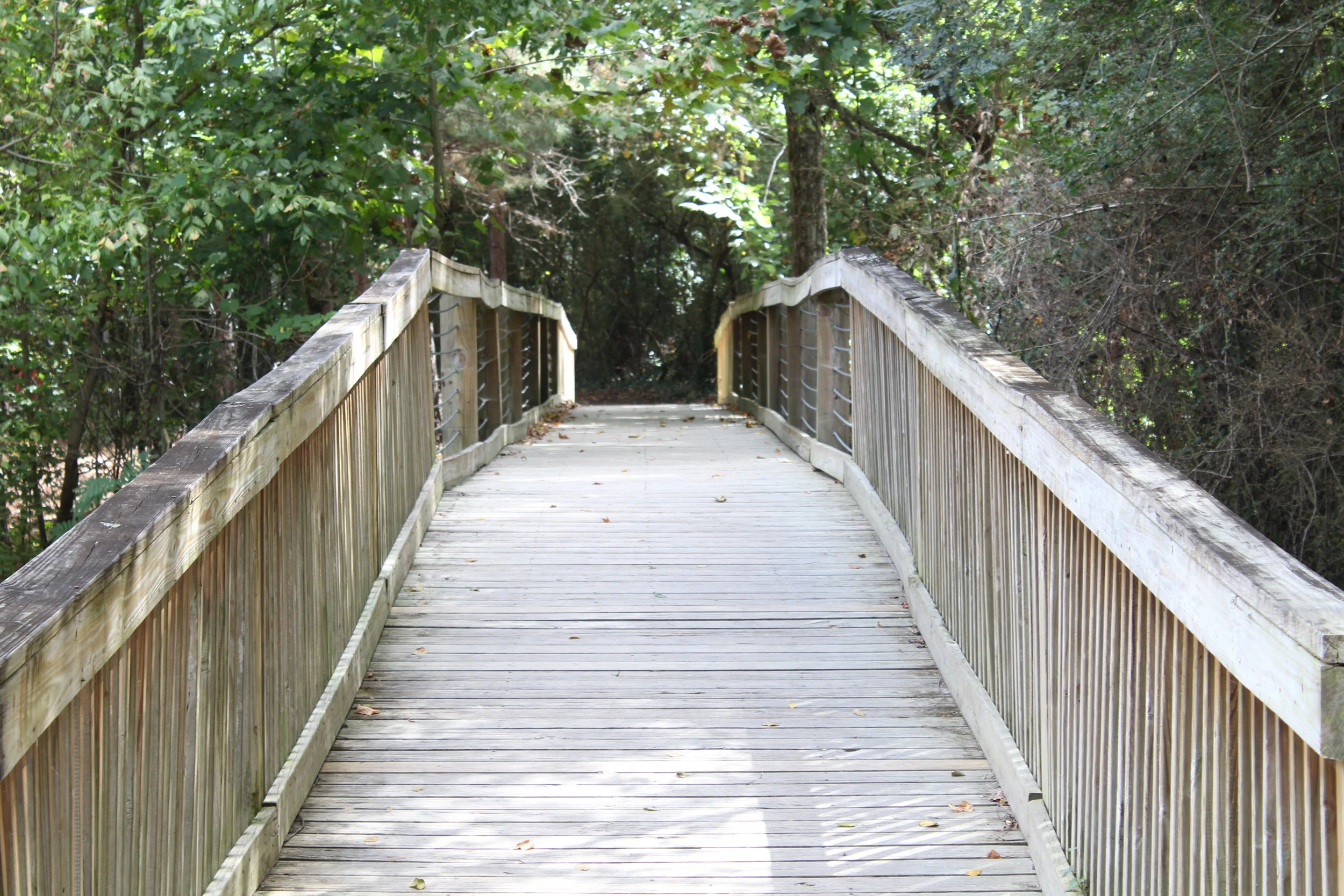 The Best Hiking Trails Around Auburn — Be Well