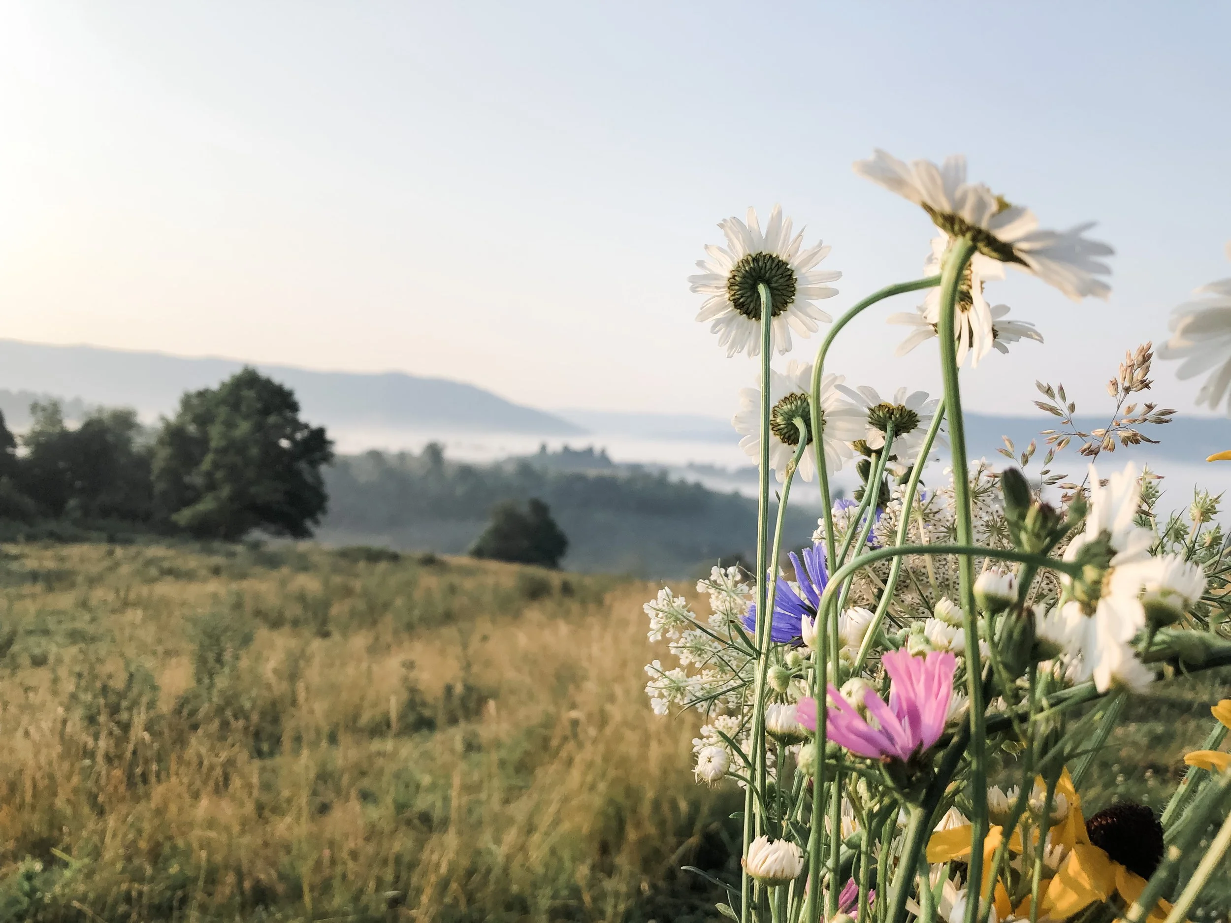 Rural But Not Remote