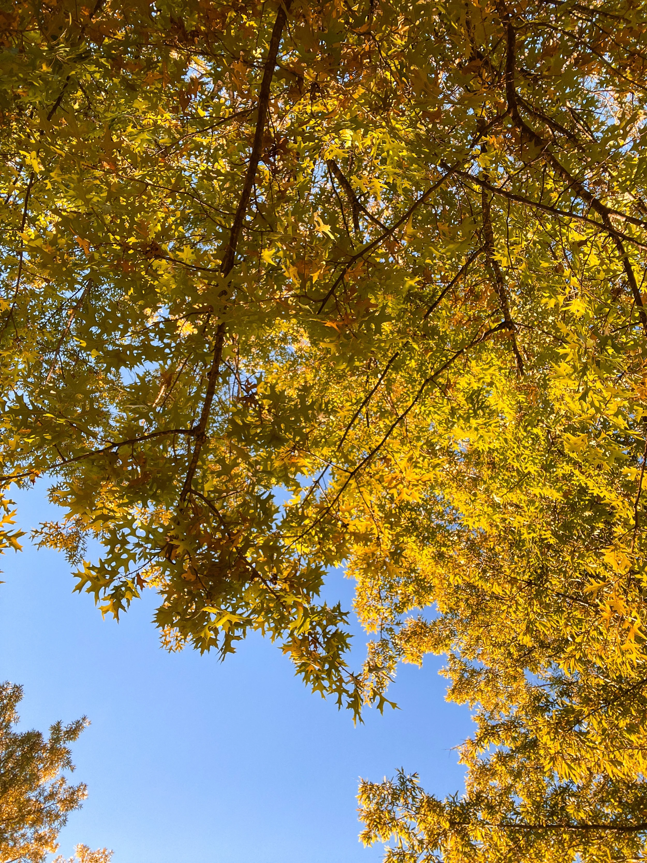 Fall Workout Ideas
