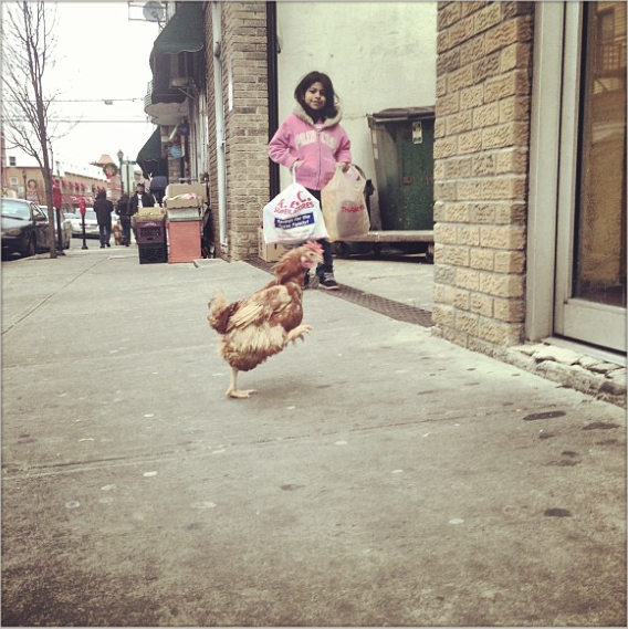 Urban Cowboy